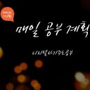 매일 영어 스터디(상) 이미지