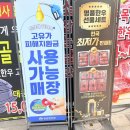 감탄맑은농장정육점 | 당진소고기 맛집 추천! 당진정육점 원쁠 한우 직접 먹어본 후기 (한우선물세트 추천)