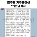 바이올린 온라인 레슨 / 성인 바이올린 레슨 후기