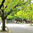 무의목장 이미지