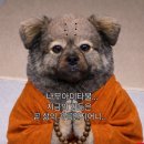 효마늘보쌈 | 창원 맛집 시티족발 내돈내산 후기
