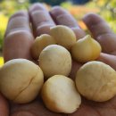 지안농장 이미지