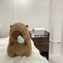(주)목민 | 시흥능곡역 왁싱샵 추천 임산부 브라질리언왁싱 잘하는 곳 마이모왁싱 후기