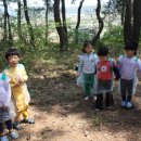 양덕 초등학교 병설 유치원 이미지