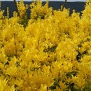 사철농장 이미지