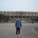 2010YTN손기정평화마라톤대회 참가기(11/21) 이미지