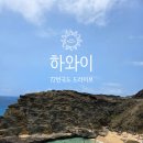 국도카 | 하와이 렌터카 72번국도 당일치기 드라이브 코스 추천｜레오나즈 베이커리부터 와이마날로비치,필박스까지