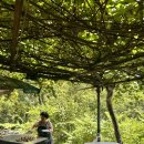 부대농장 이미지