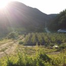 오암농장 이미지