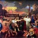 금송아지 이미지