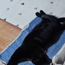 대요농장 이미지