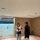 싱글댕글 애견유치원앤호텔 | 영종도 애견호텔 더우프앤, 애견동반 호텔 더위크앤 리조트 이용 후기