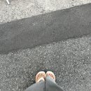 피어리스네일 이미지