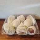 심플파머 | 영암 GAP 홍무화과 500g 배송 제철과일 먹부림 파머앤피셔맨 후기
