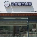 포동이 펫살롱 이미지