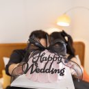 메리먼트 | W07-1 광주 줄리의정원 촬영 소품 후기(feat. 메리먼트📍, 아이엠케이크🍰)