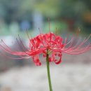 큰골 약수터 이미지