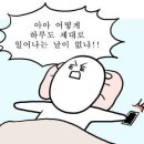 멍발머리 이미지