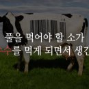 형제축산 이미지