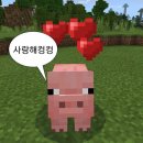 씨유감일마크베르점 | 8월 중순이라고요? 거짓말 치지 마세요