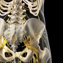 삼성밸런스의원 이미지