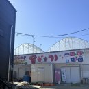 곤지암읍-12 | 아이와 딸기체험🍓🛒 경기 광주 하늘애 딸기농장 (두번방문후기✌️)