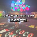 인천 영흥도 당일 캠프닉 가능한 곳 [코코로망스] 감성 캠핑장 카라반 애견동반가능
