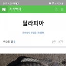 신령역돔양어장회 이미지