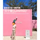 로우풀 | 합천호수뷰 대형카페 로우풀(Lowful) l LA 폴스미스 감성카페