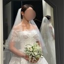 레브랑 | 웨딩드레스 | 메종레브 본식가봉 본식드레스 셀렉 후기