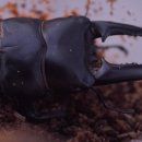 주식회사 칠명바이오 이미지