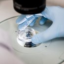 라온셀의원 이미지