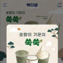 빽다방군포당정역은하점