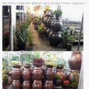 이조농장 이미지