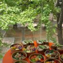 올데이 밀 이미지