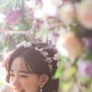 분당-376 이미지