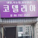 코델리아토탈뷰티샵