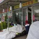 미나꽃집