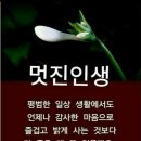 대전 황제콜라텍 방문기 이미지