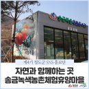 송금녹색농촌휴양마을 이미지