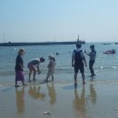 곰섬해수욕장 이미지