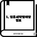 일흥세탁 티스토리