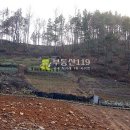 대덕농장2 이미지