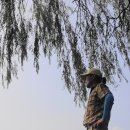 마포, 걷고싶은길 9코스 이미지