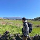 제주 올레길 12코스 | 제주 올레길 8코스 완주 후기
