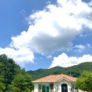타샤의 숲속 네이버블로그
