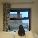 안덕면 상창리사무소 입구 | [제주 서귀포 ] 독채 감성숙소 사계화, 괸당집(2-4인) 내돈내산 후기