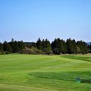 36 | 제주 사이프러스cc 예약 흔치않은 제주도 36홀 골프장 후기