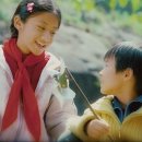 와와 이미지