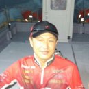 뉴코스모스호 2 네이버블로그